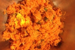 Vegan Carrot Fiber